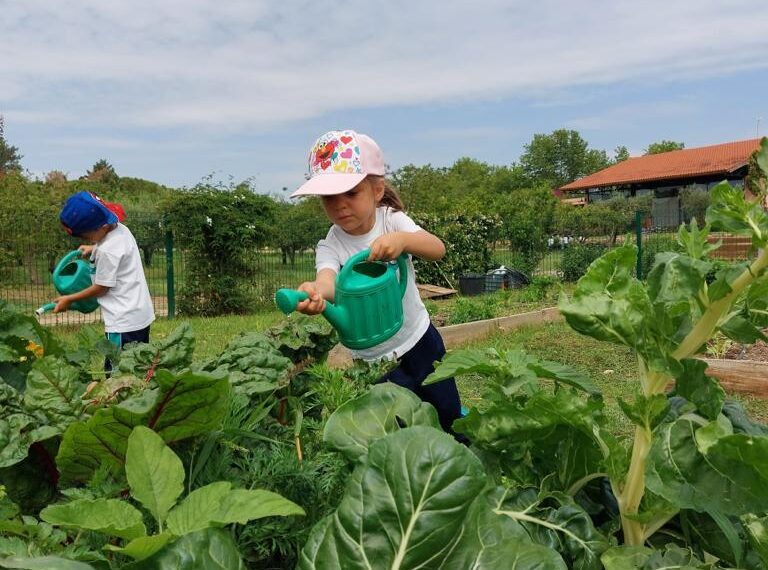 Plantas para l@s peques