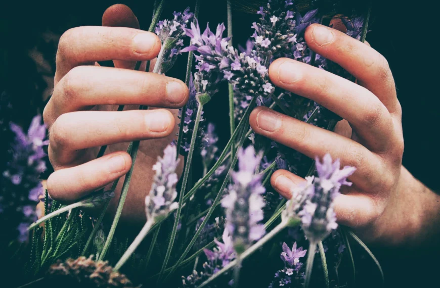 Las plantas y la Salud