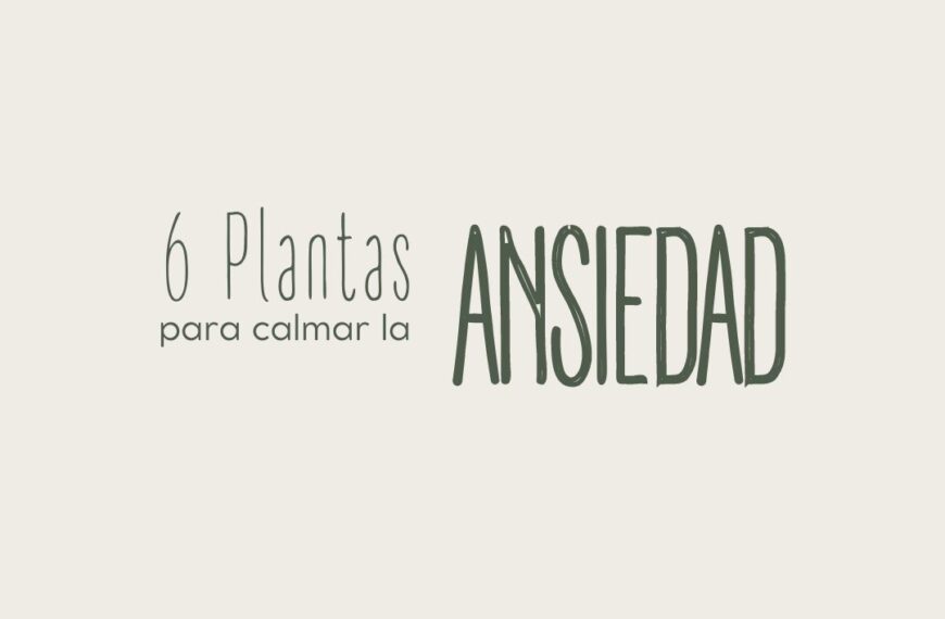 6 Plantas para calmar la ansiedad