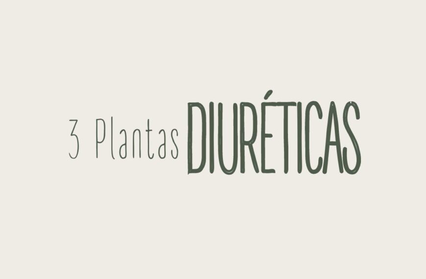 3 Plantas Diuréticas