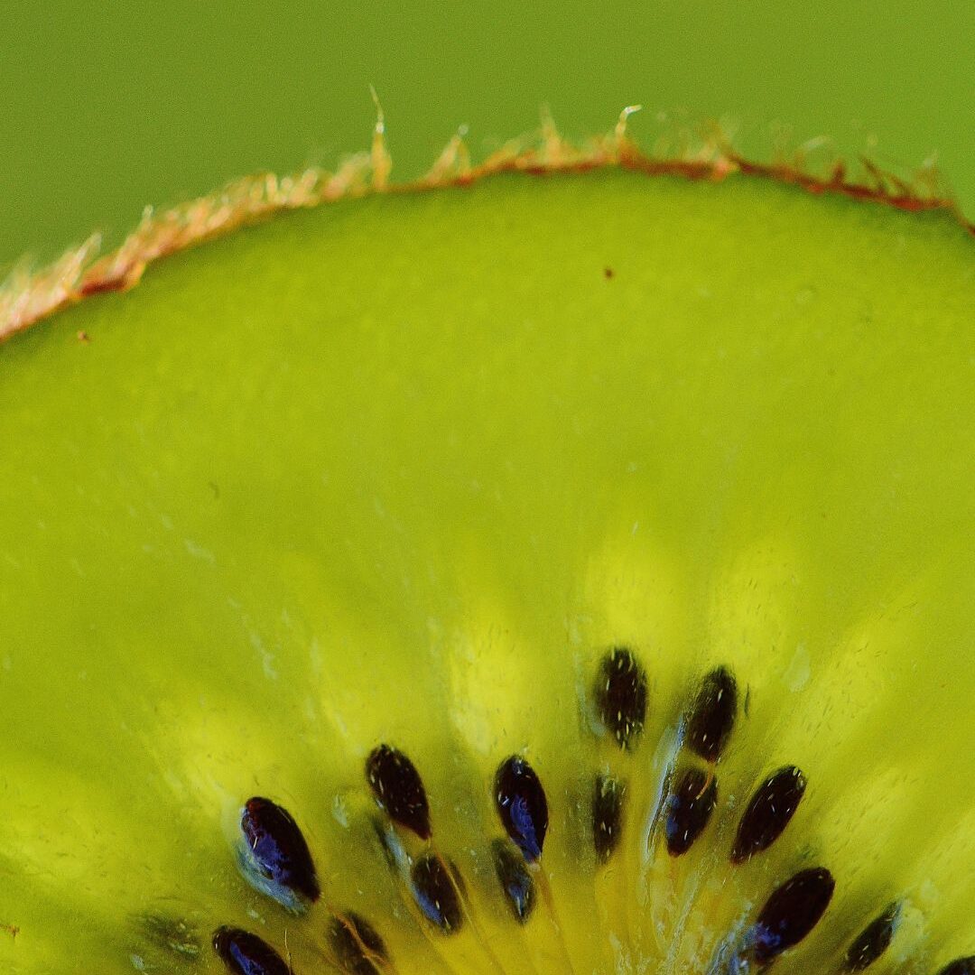 Kiwi: la fruta energética con propiedades antioxidantes y revitalizantes