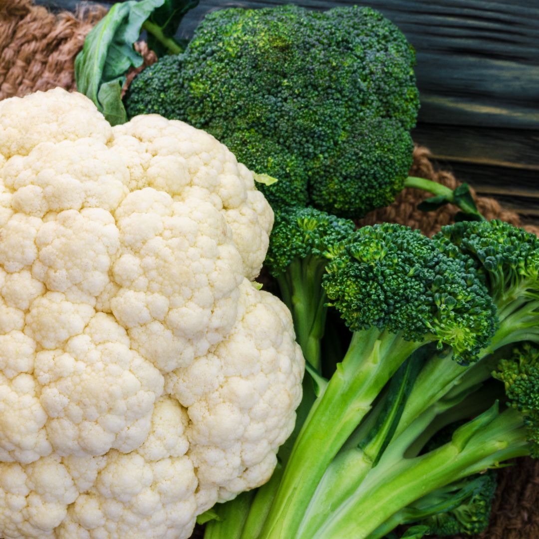 Plantas Medicinales, Frutas y Verduras de Temporada en Febrero