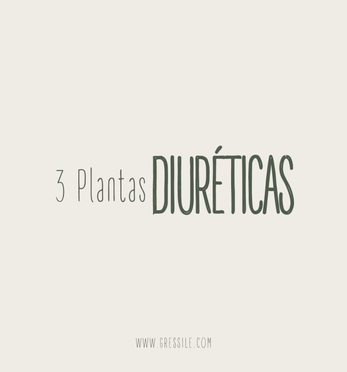 3 Plantas Diuréticas